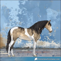 Horse Color:Buckskin Dun Tobiano Brindle 