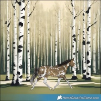 Horse Color:White Spotted Buckskin Dun Splash Rabicano 