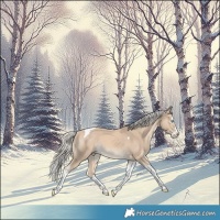 Horse Color:White Spotted Cremello Splash Tobiano Rabicano 