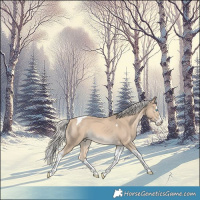 Horse Color:White Spotted Cremello Splash Tobiano Rabicano
