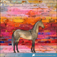 Horse Color:Buckskin Dun