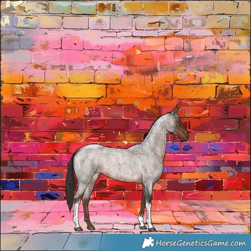 Horse Color:Liver Red Roan Tobiano Rabicano