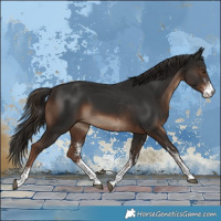 Horse Color:White Spotted Liver Chestnut 