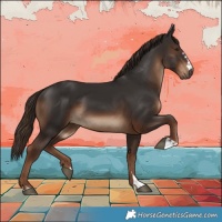 Horse Color:Liver Chestnut 
