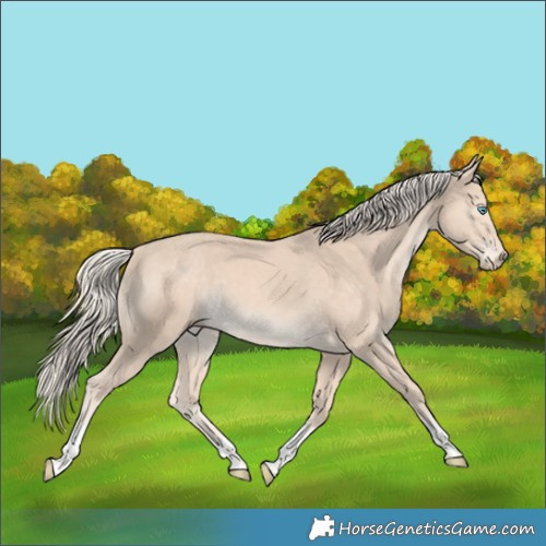 Horse Color:Cremello Tobiano
