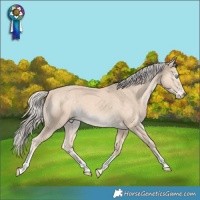 Horse Color:Cremello Tobiano 