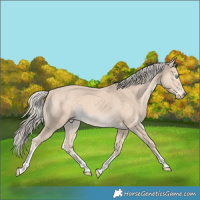 Horse Color:Cremello Tobiano 