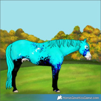 Horse Color:White Spotted Palomino Ice Pearl Onyx 