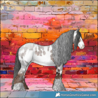 Horse Color:Liver Red Roan Frame Appaloosa
