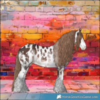 Horse Color:Liver Chestnut Sabino Appaloosa 
