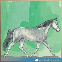 Horse Color:Watercolor Plaid  Liver Red Onyx Tobiano 