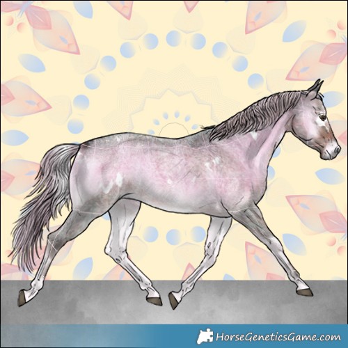 Horse Color:Platinum Plaid  White Spotted Chocolate Palomino Roan Onyx 