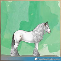 Horse Color:Brown Dun Tobiano Frame Blanket 