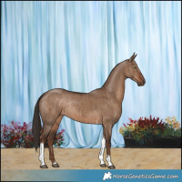 Horse Color:Liver Red Dun Tobiano Rabicano Brindle 