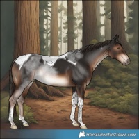 Horse Color:Liver Chestnut Tobiano Rabicano 
