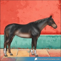 Horse Color:Liver Chestnut Mushroom Tobiano Rabicano