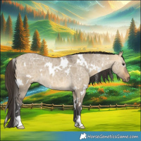 Horse Color:White Spotted Buckskin Ice Dun 