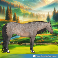 Horse Color:Brown Ice Dun
