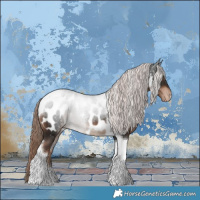 Horse Color:Liver Chestnut Tobiano Near Leopard 