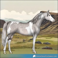 Horse Color:Platinum White Spotted Chocolate Palomino Dun Tobiano