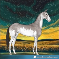 Horse Color:Platinum White Spotted Liver Red Dun 