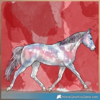 Horse Color:Watercolor Plaid  White Spotted Liver Red Onyx Rabicano 