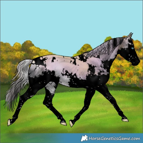 Horse Color:Void Watercolor White Spotted Chocolate Palomino Onyx Splash Brindle 
