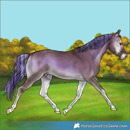 Horse Color:Painted Chocolate Palomino Onyx Tobiano 