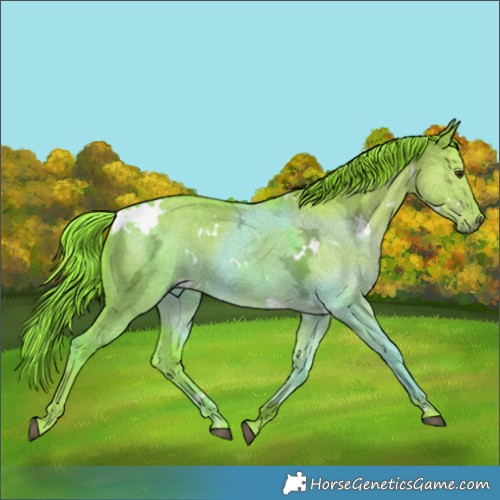 Horse Color:Watercolor White Spotted Liver Red Dun Ice 