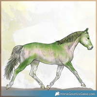 Horse Color:Watercolor Plaid  Liver Red Onyx Rabicano 