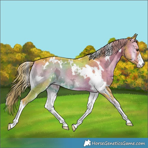 Horse Color:Watercolor White Spotted Liver Red Onyx Ice 