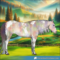 Horse Color:Nacre Buckskin Ice Dun Splash Tobiano