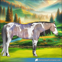 Horse Color:Bay Ice Dun Splash Tobiano