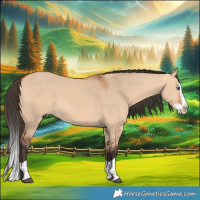 Horse Color:Bay Dun Splash 