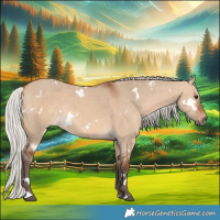 Horse Color:White Spotted Silver Bay Dun Rabicano