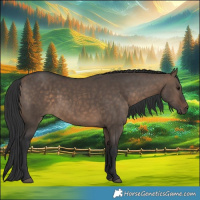 Horse Color:Brown Dun 