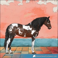 Horse Color:White Spotted Liver Chestnut Tobiano 