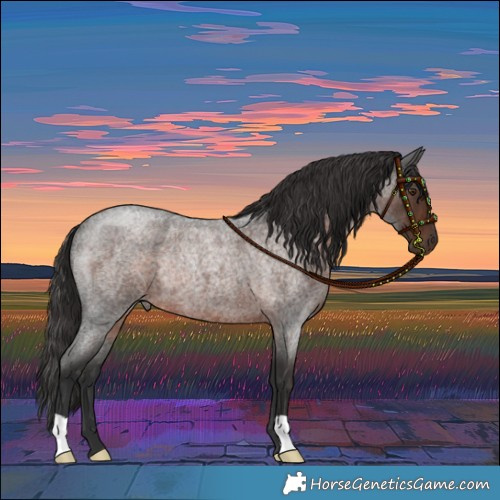 Horse Color:Liver Red Roan Rabicano