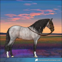 Horse Color:Liver Red Roan Rabicano 