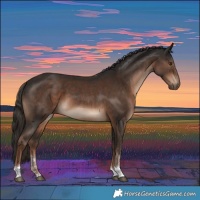 Horse Color:Liver Chestnut Tobiano Rabicano 