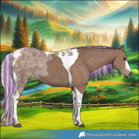 Horse Color:Painted Silver Black Ice Tobiano 