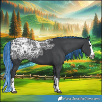 Horse Color:Painted Black Ice Splash 