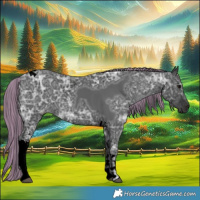 Horse Color:Void Painted Black Ice Tobiano 