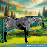 Horse Color:Void Painted Black Ice Tobiano