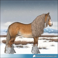 Horse Color:Gray Chocolate Palomino Dun 