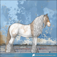 Horse Color:Chocolate Palomino Roan Dun Tobiano Near Leopard Brindle 