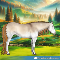 Horse Color:Painted White Spotted Liver Red Dun Onyx 