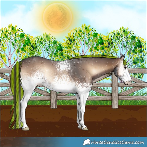 Horse Color:Painted White Spotted Liver Red Onyx 
