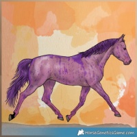 Horse Color:Void Watercolor Liver Red Dun Brindle 