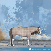 Horse Color:Plaid Liver Red Dun Roan Splash Rabicano